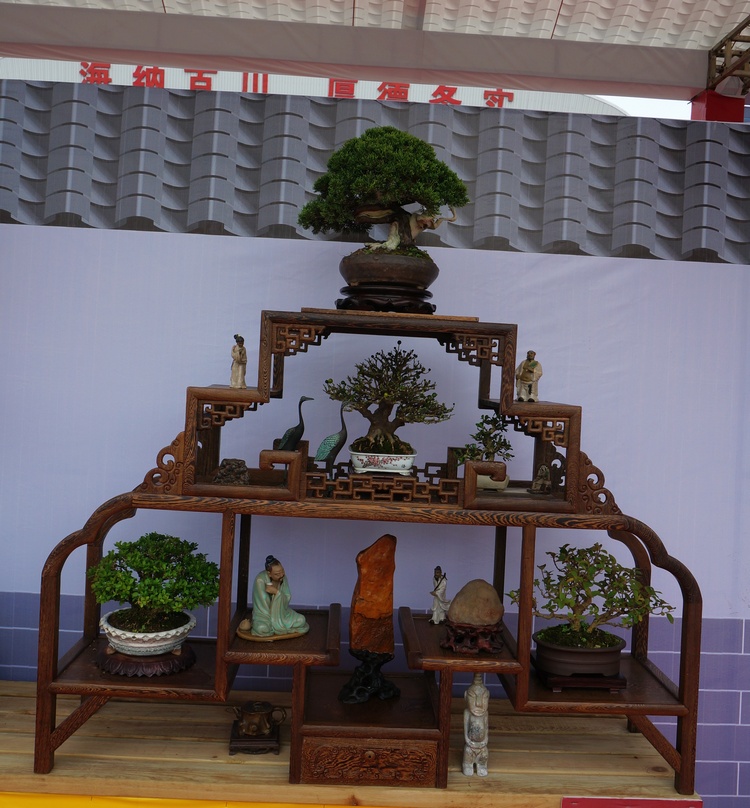 DSC03800_cr.jpg