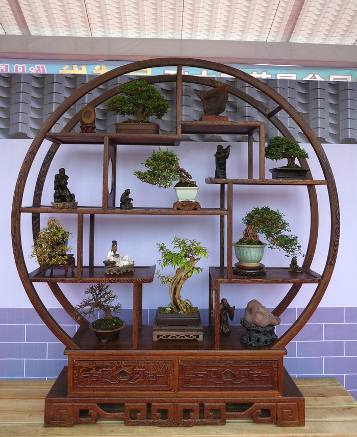 DSC03802_cr.jpg