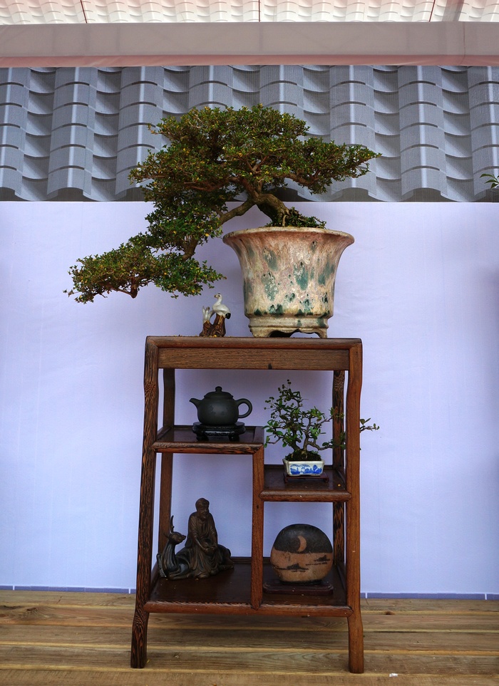 DSC03805_cr.jpg