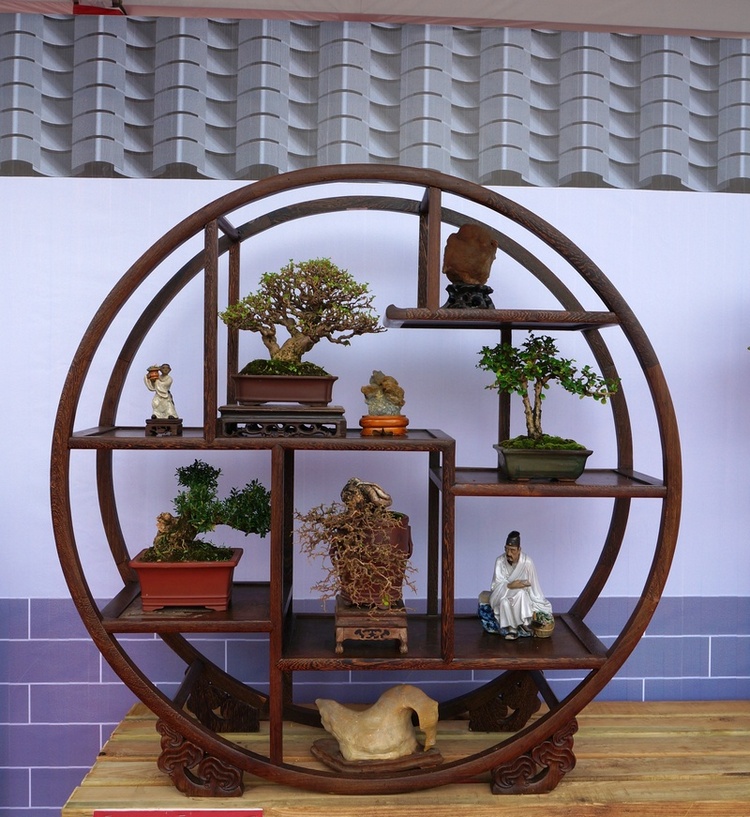 DSC03808_cr.jpg