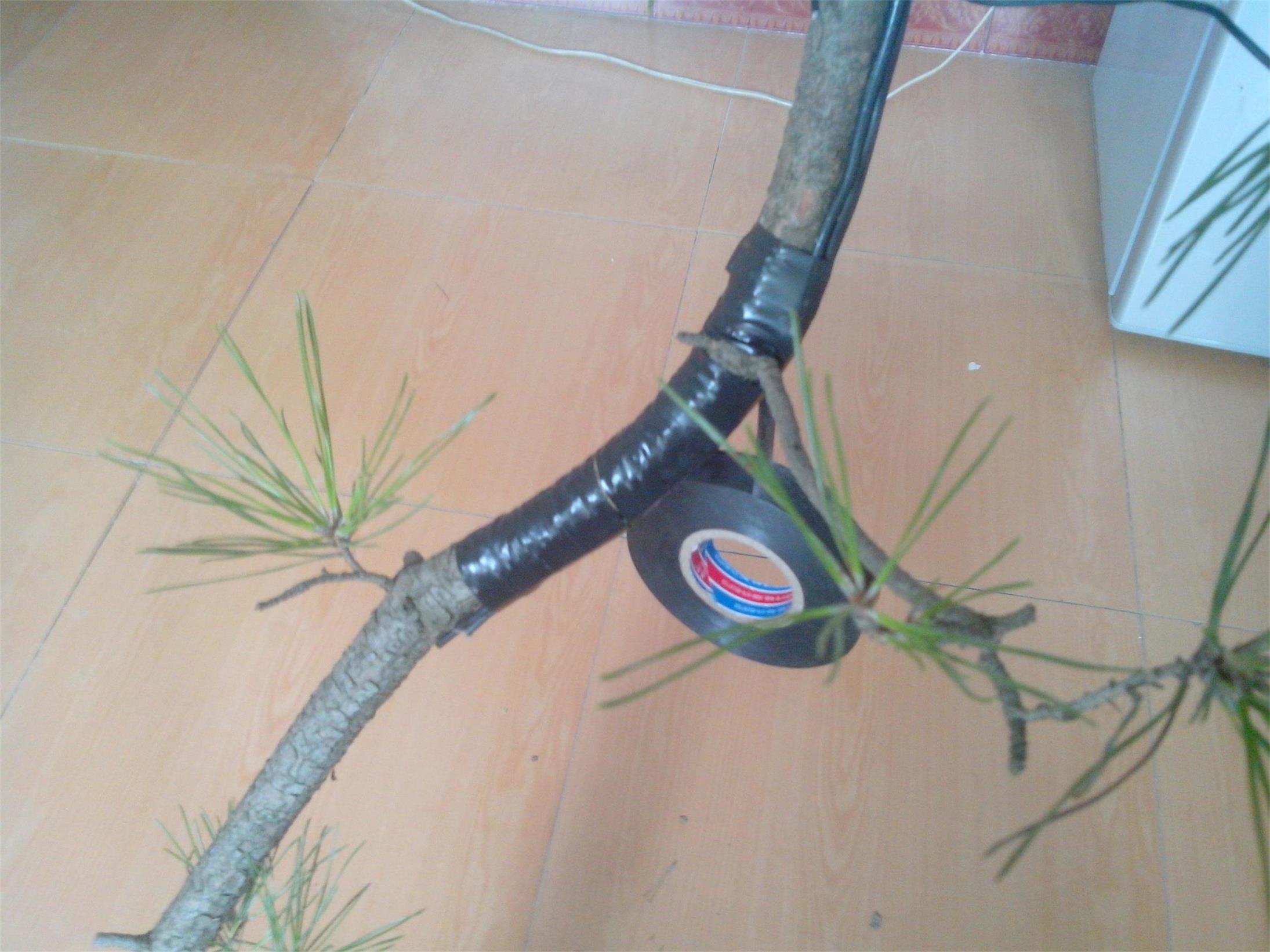 IMG20140820002.jpg
