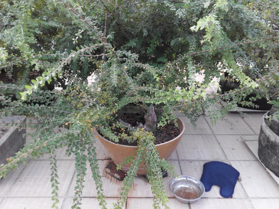 rps20140927_110517.jpg
