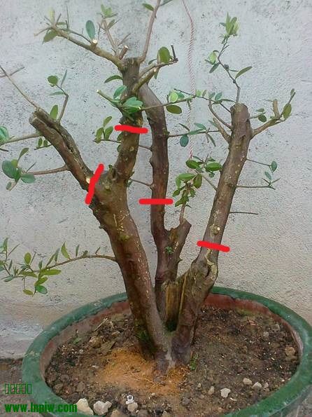 125506wlfih22j8f2l8dkk (1).jpg