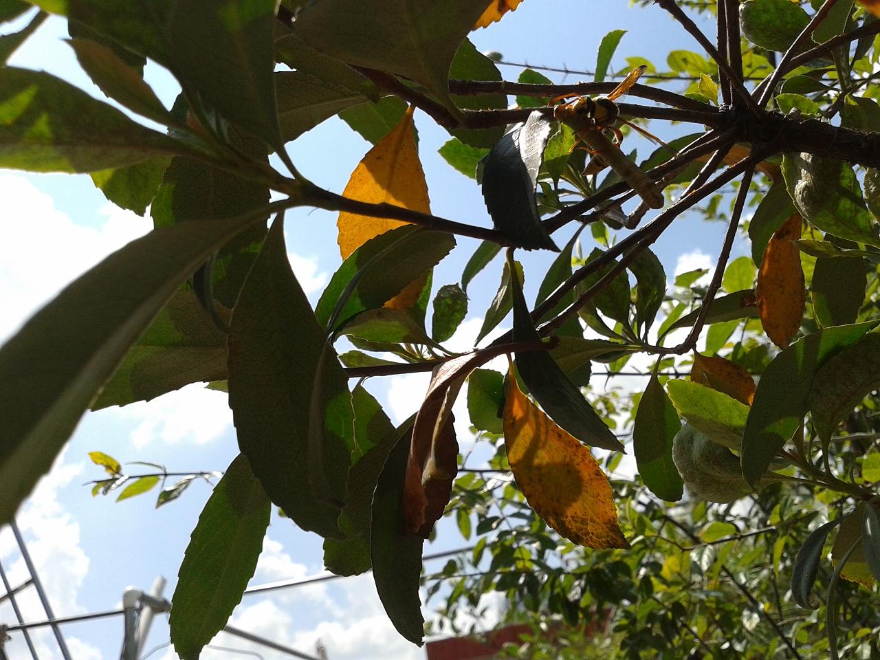 20140927_114922.jpg