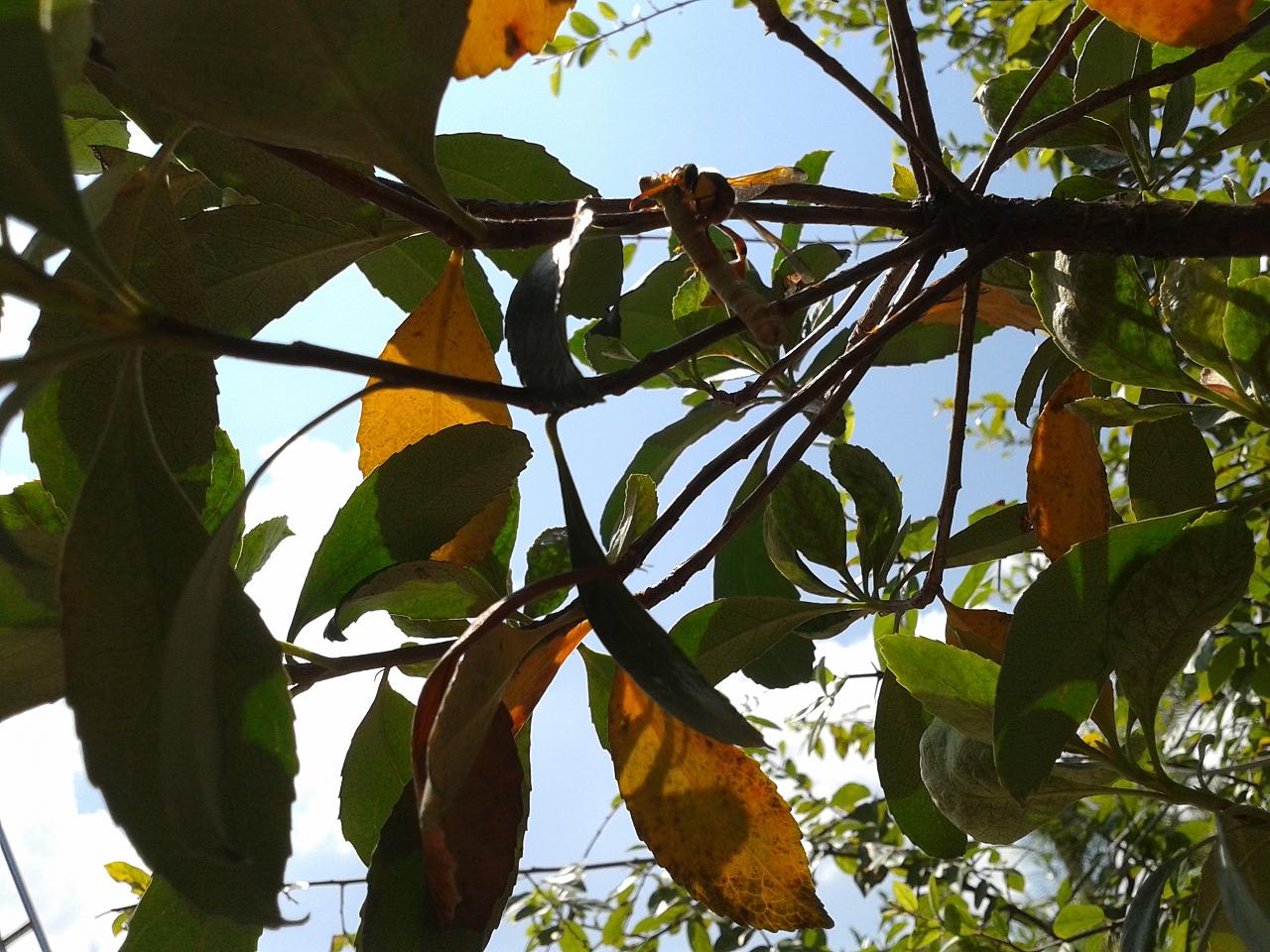 20140927_114927.jpg