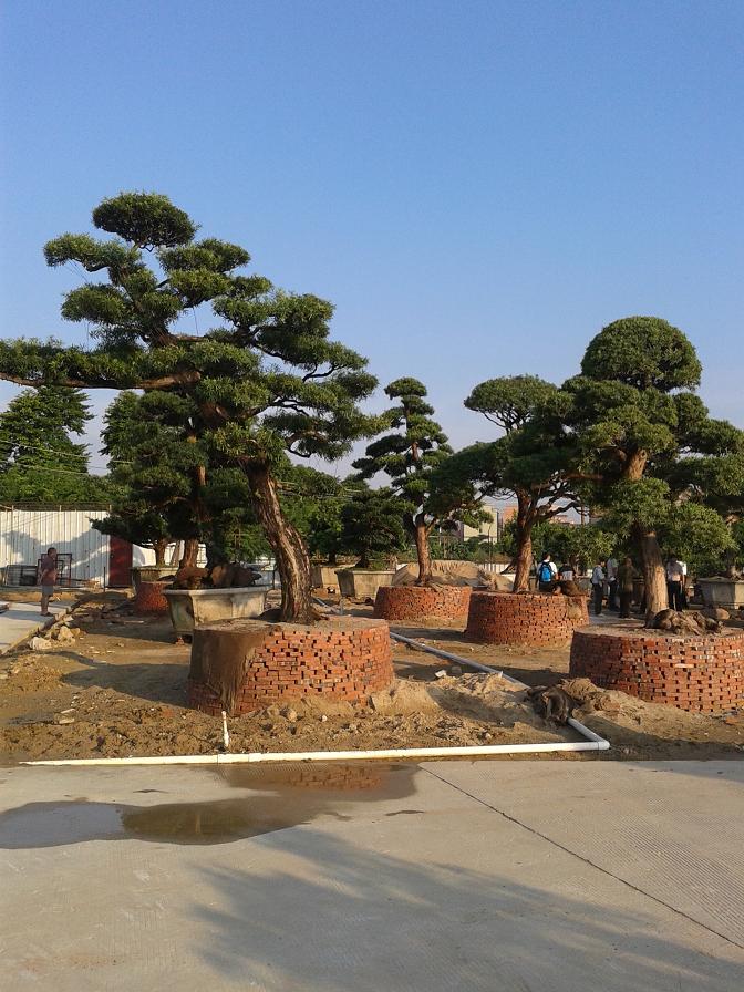 20140921_171555.jpg