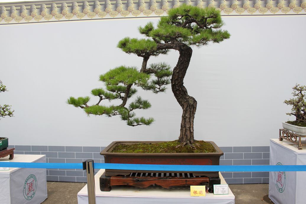Ƭ 2116.jpg
