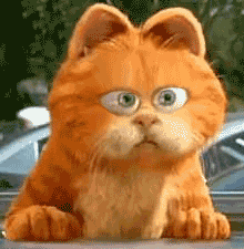 èҡͷ.gif
