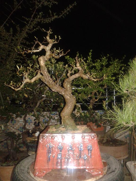 20140928_205213.jpg
