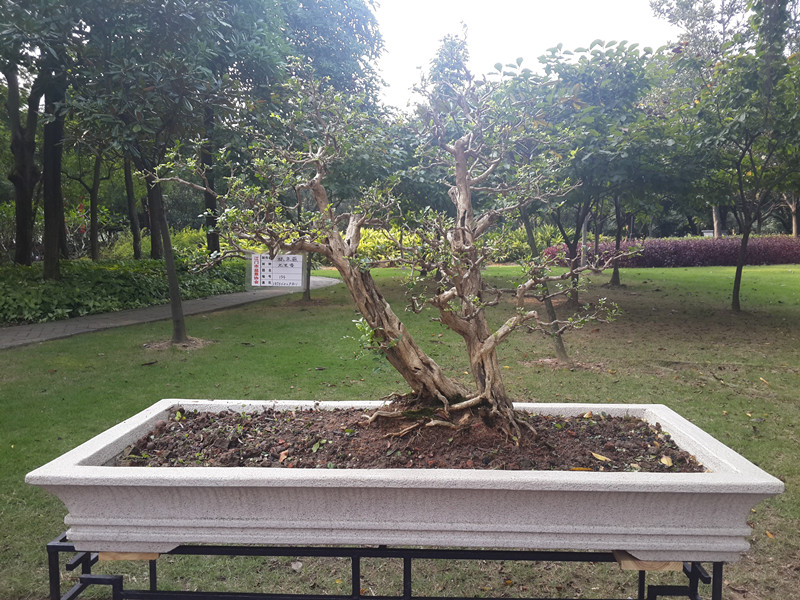 20141002_155231.JPG