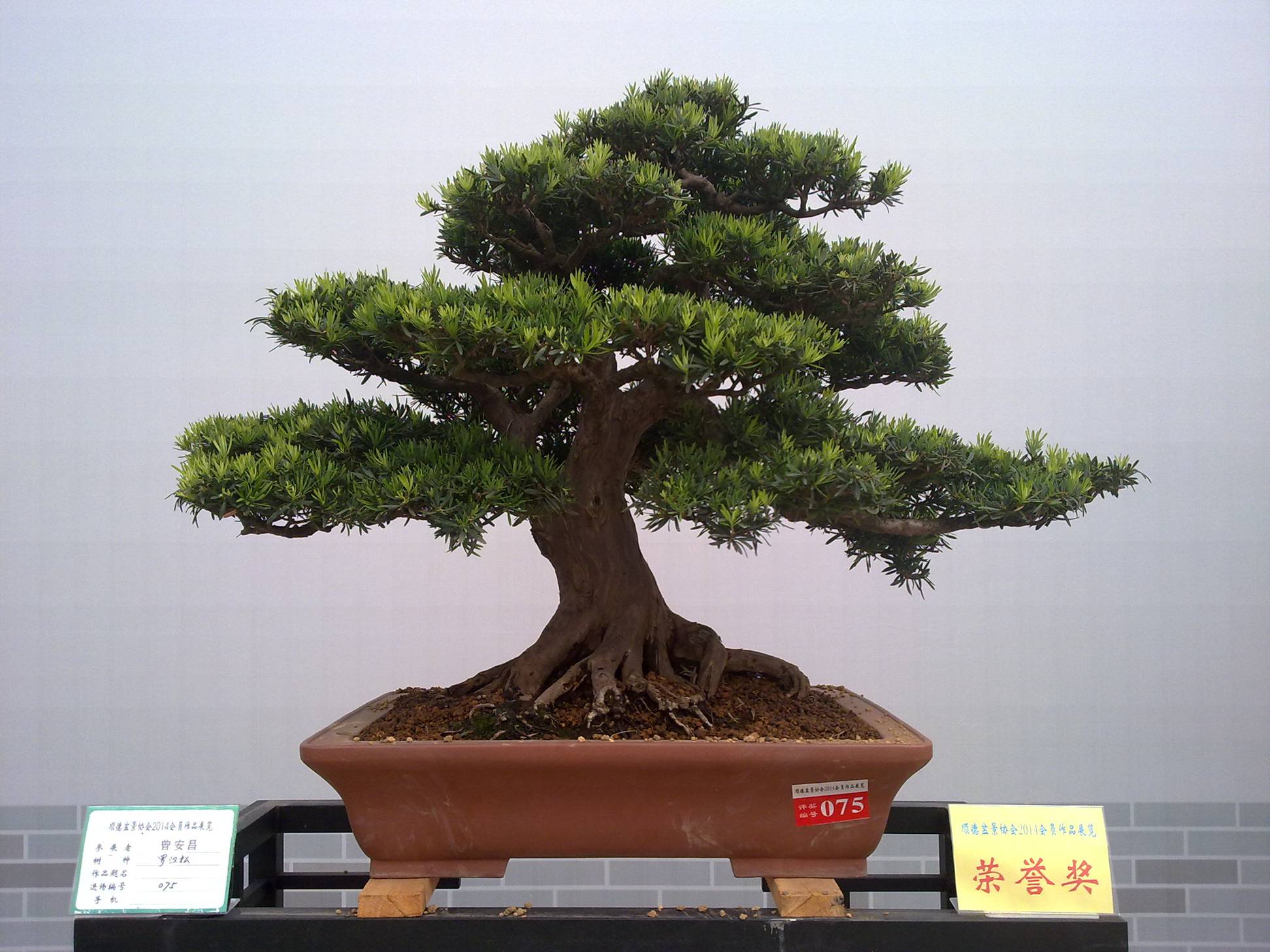 201410027841.jpg