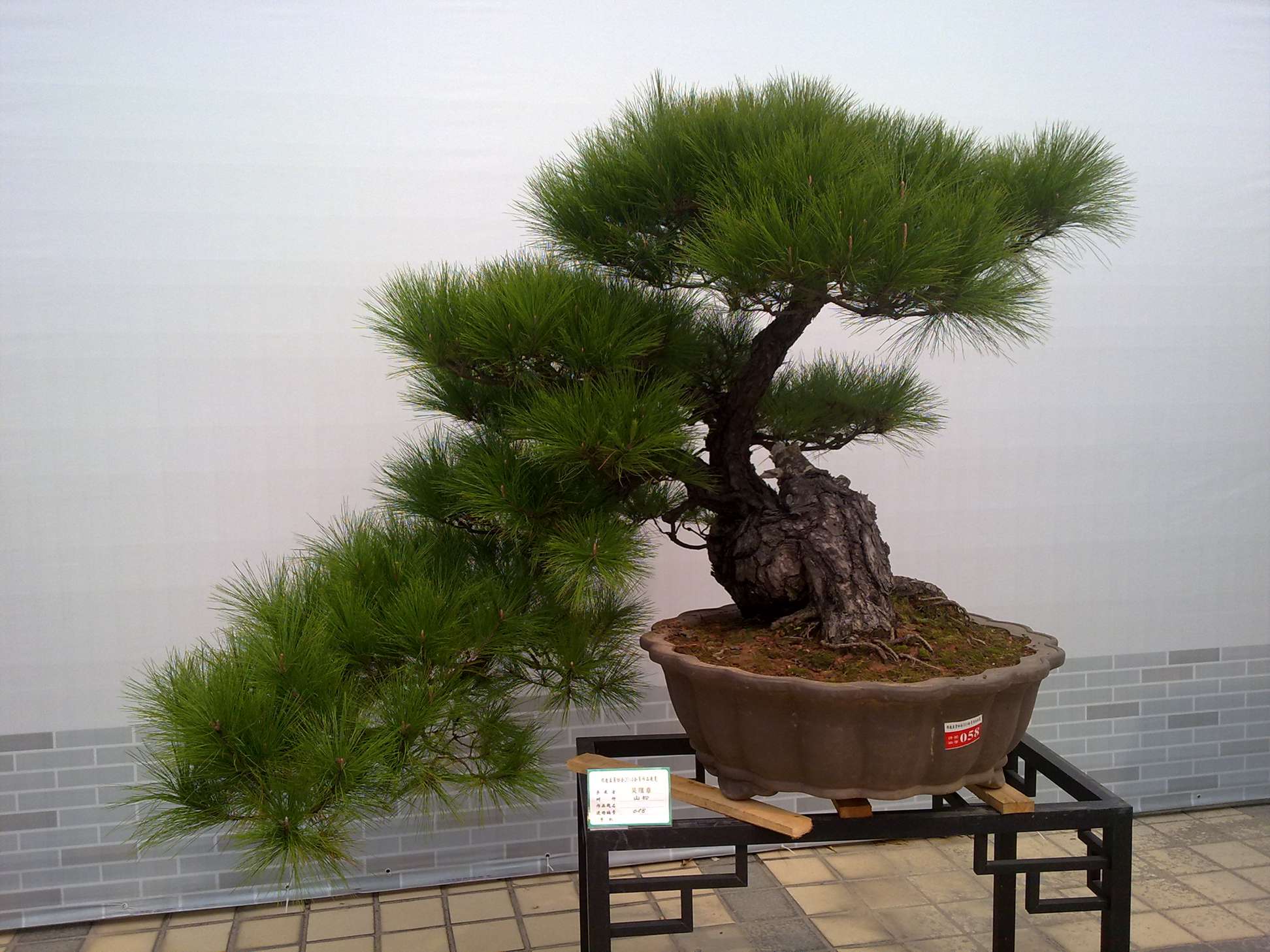 201410027845.jpg