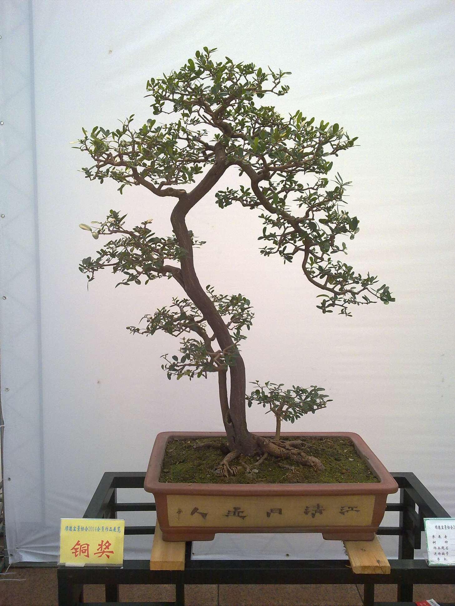 201410027914.jpg
