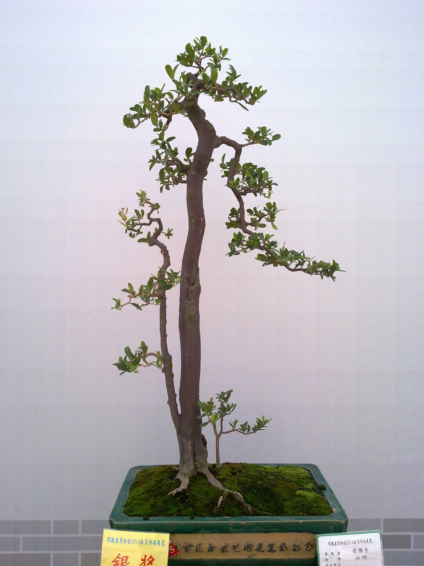 201410027918.jpg