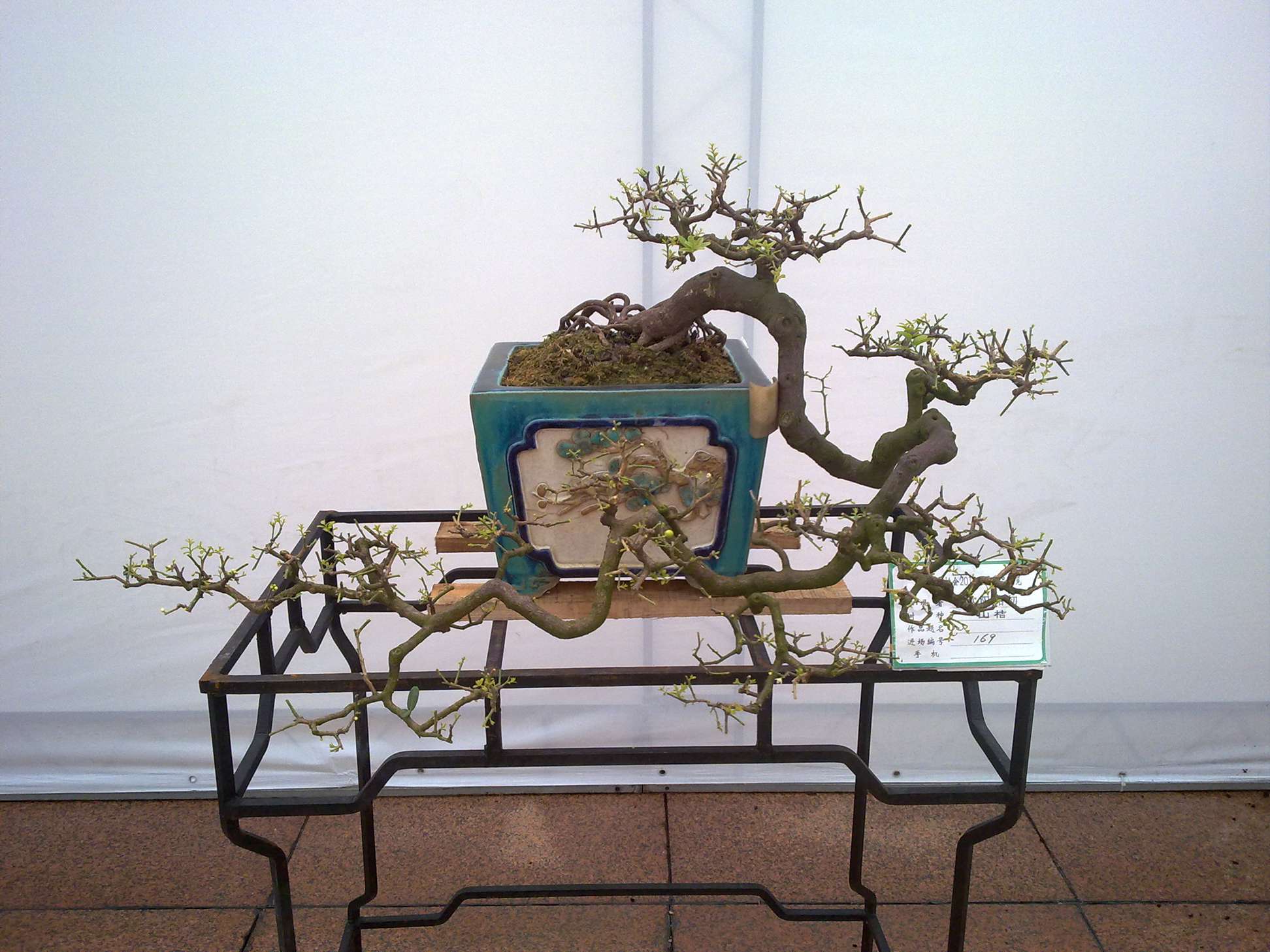 201410027926.jpg