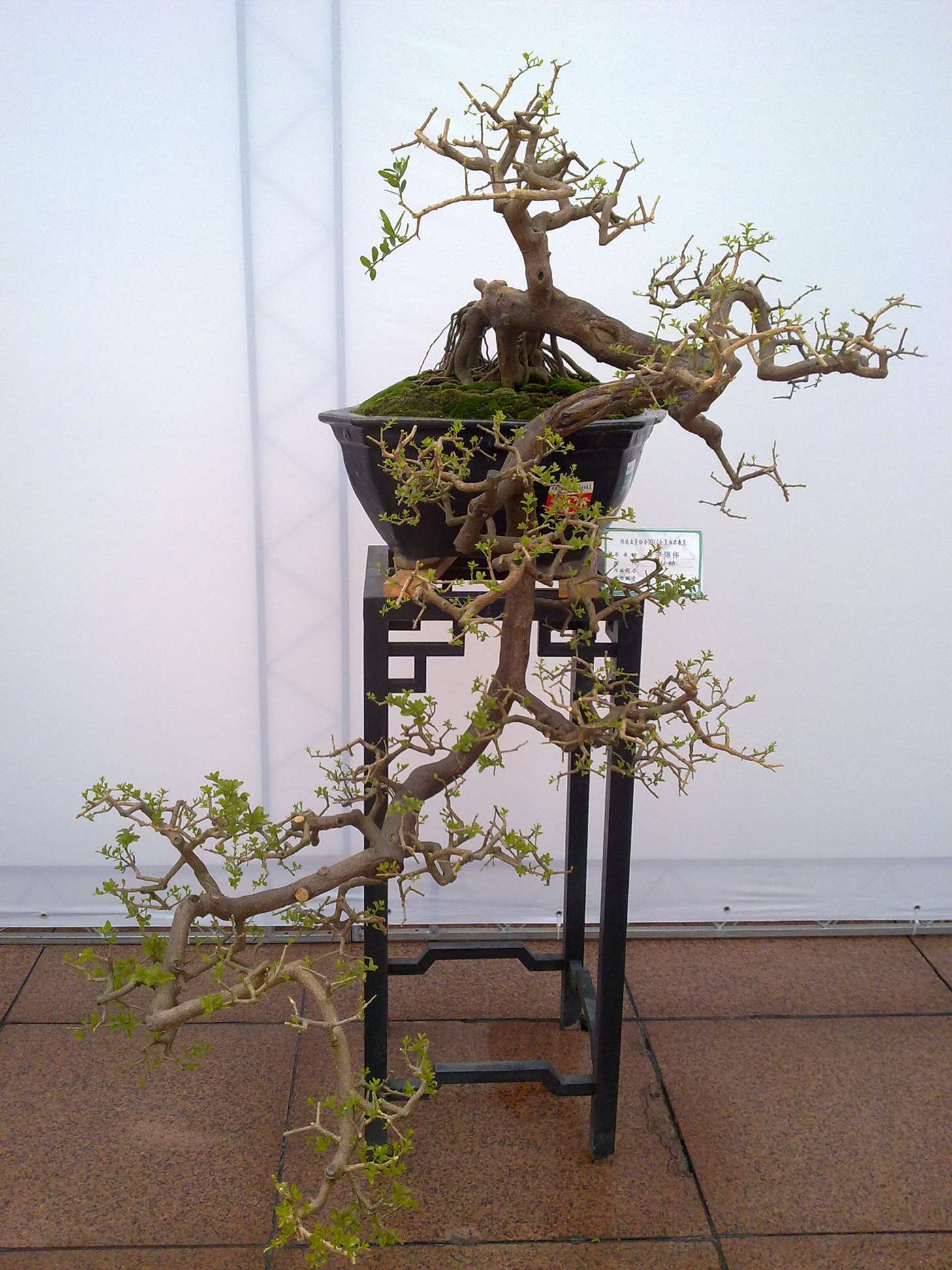 201410027927.jpg