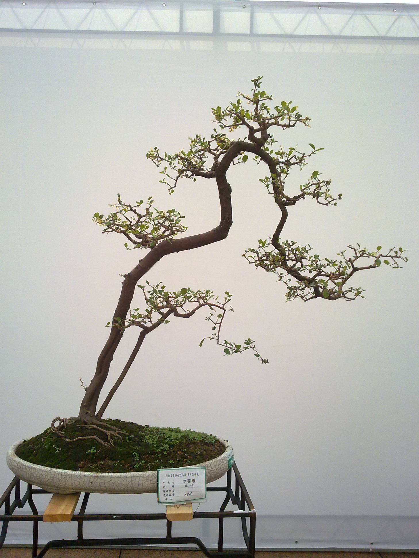 201410027928.jpg