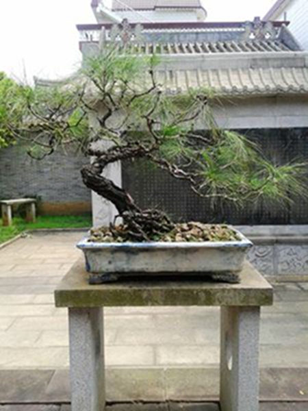 20141003_121736.jpg