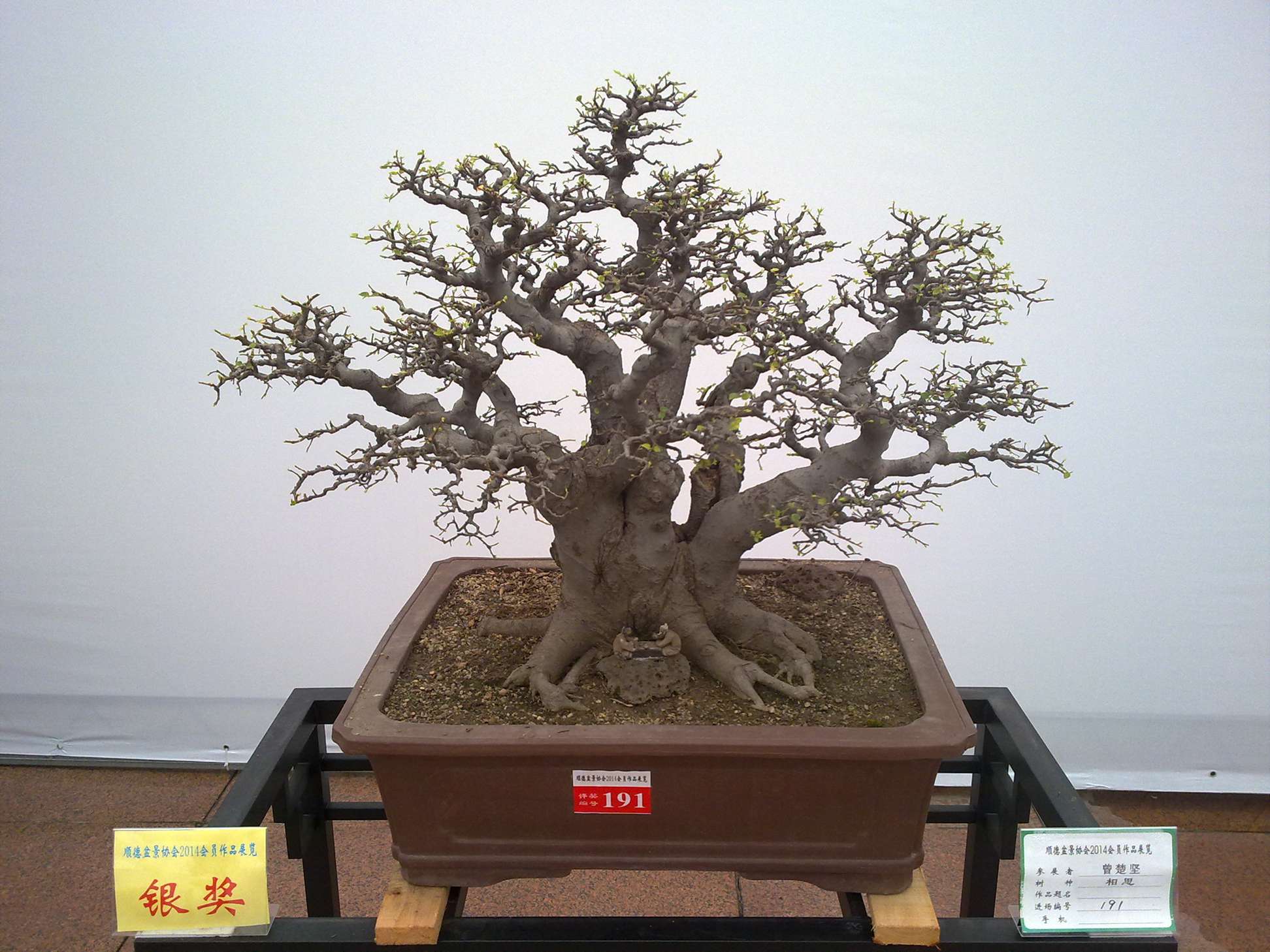 201410027983.jpg