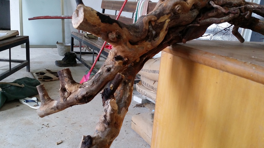 20141005_165709.jpg