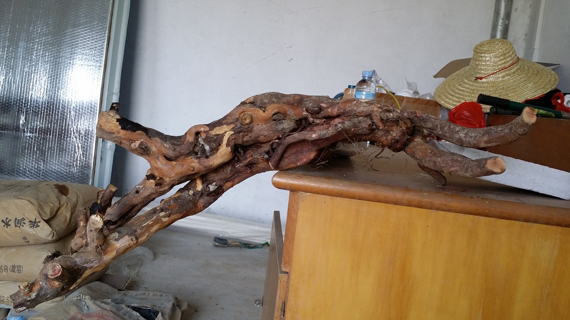 20141005_170110.jpg
