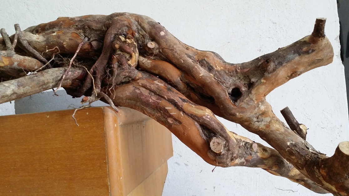 20141005_170504.jpg