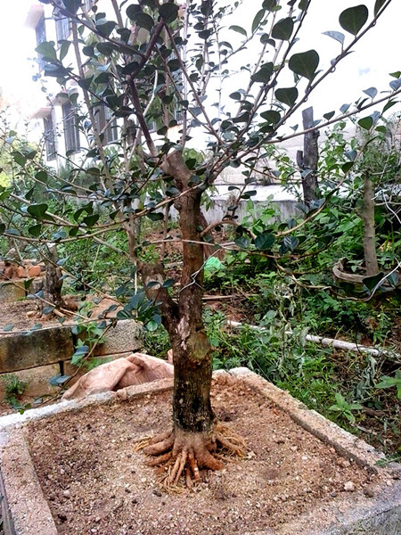 20141010_154826_1.jpg