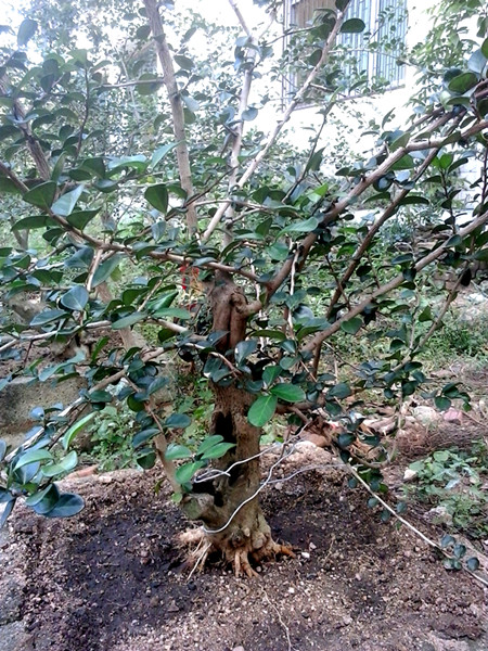 20141010_154813_.jpg