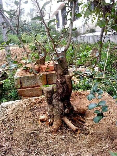 20141010_124112_.jpg