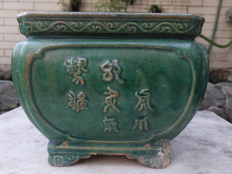 P1200621.JPG
