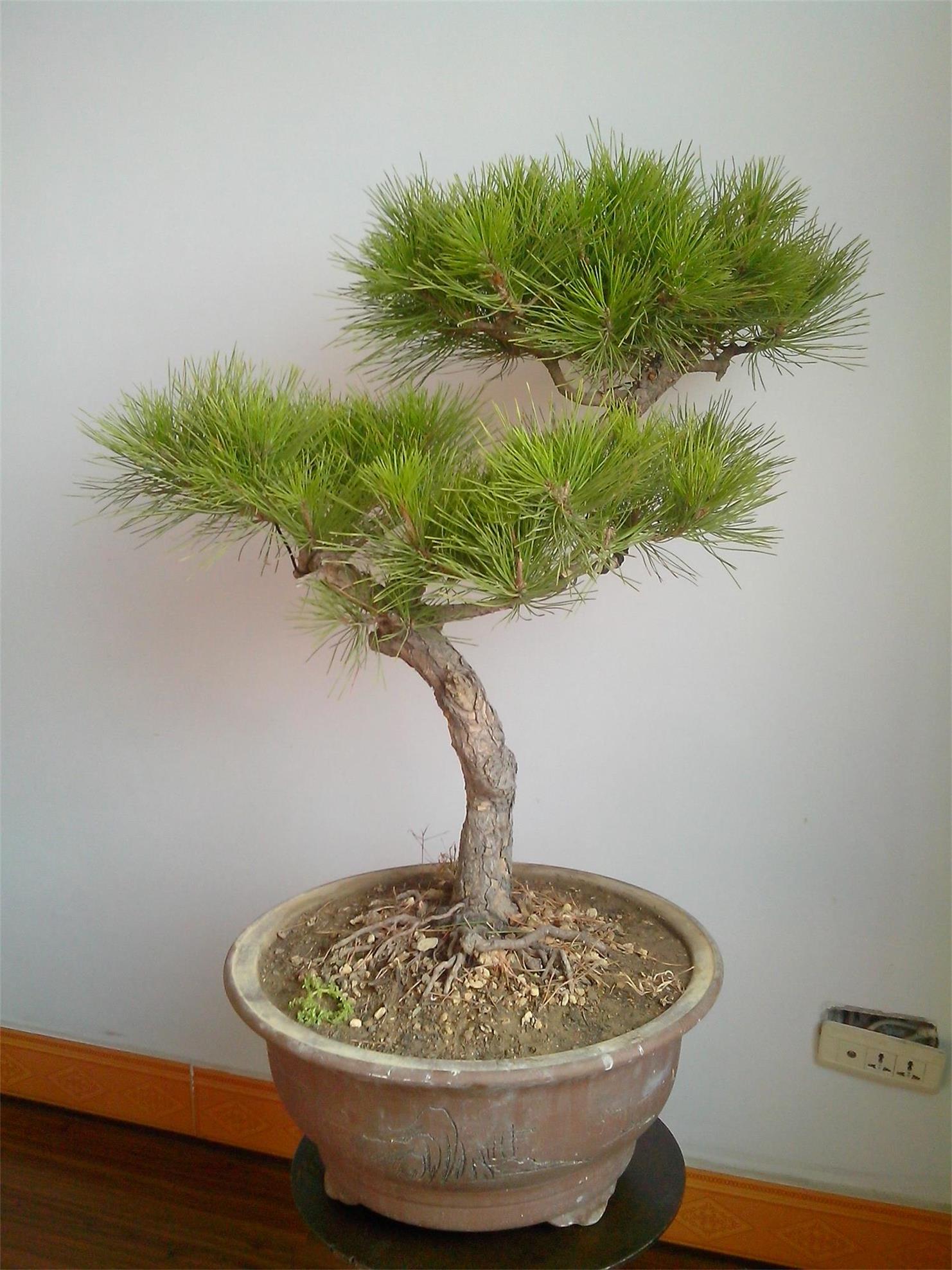 IMG20131208002.jpg