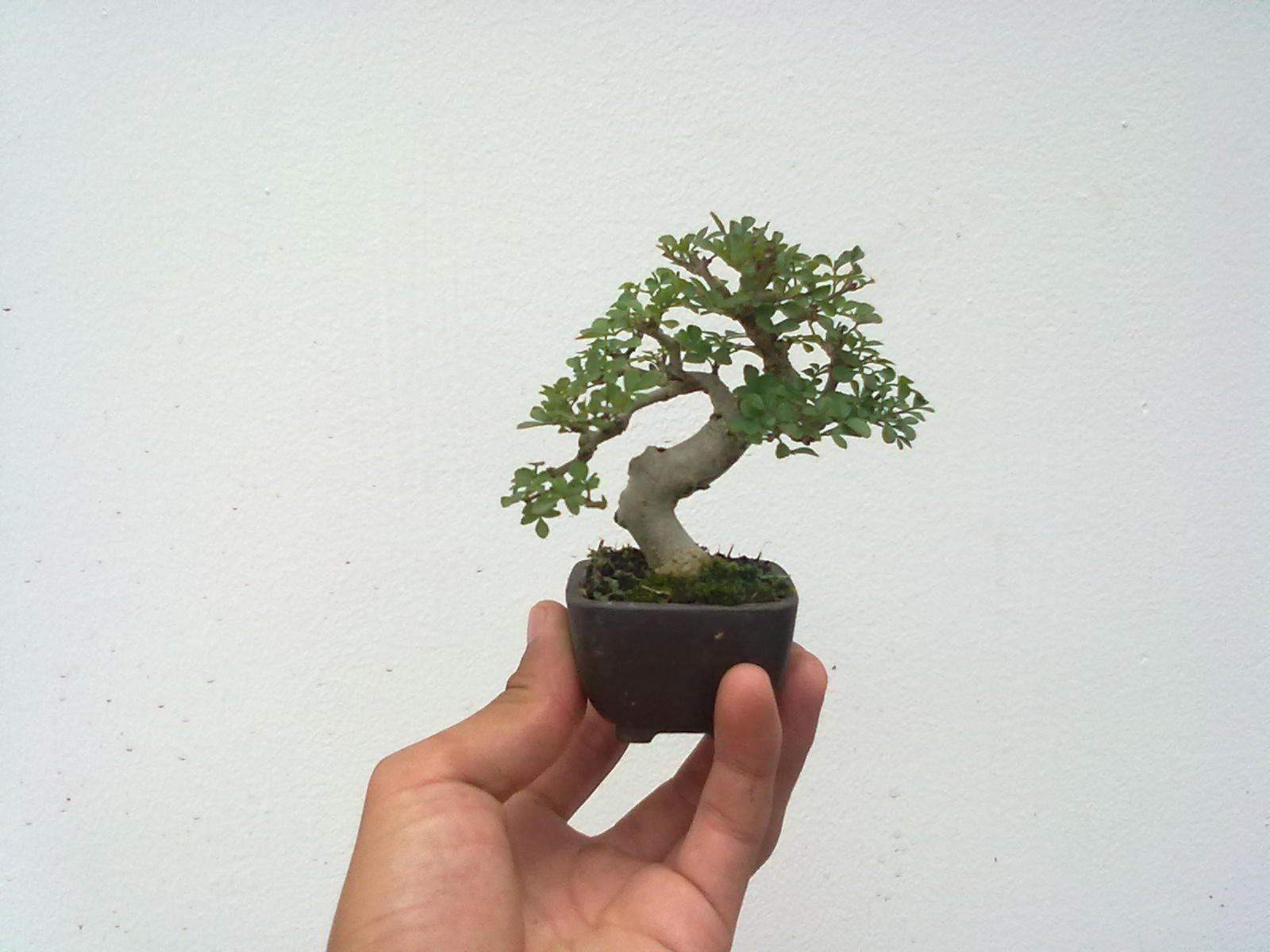 20110801201900915.jpg