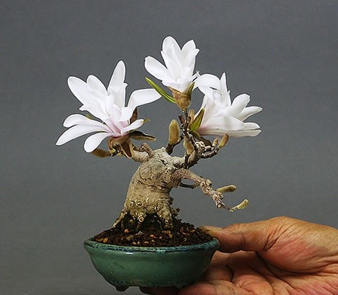 201303152113327178.jpg