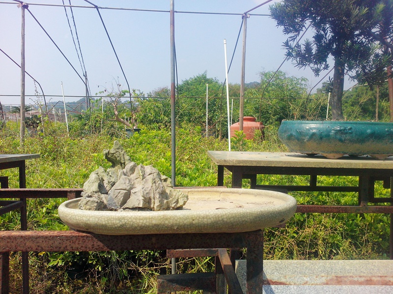 IMG20141010001.jpg
