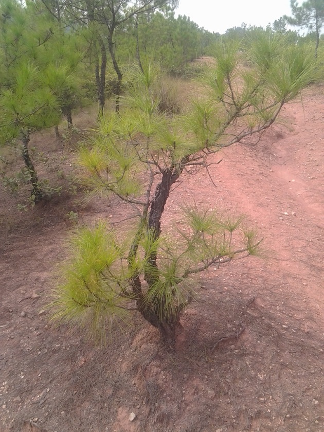 20140923_142107.jpg