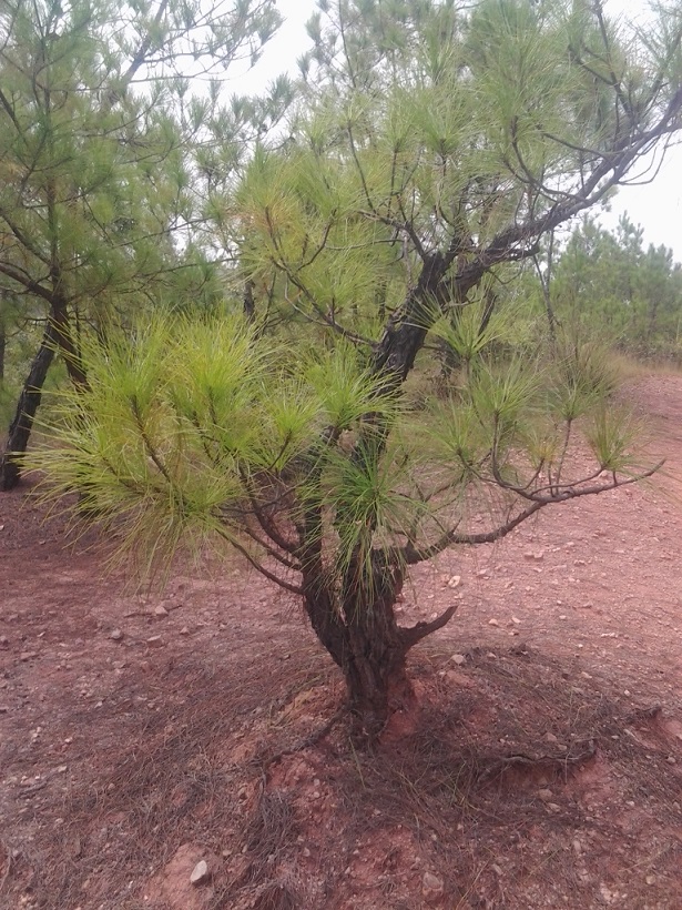 20140923_142117.jpg