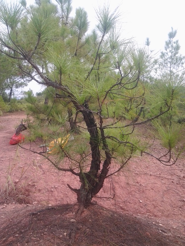 20140923_142125.jpg