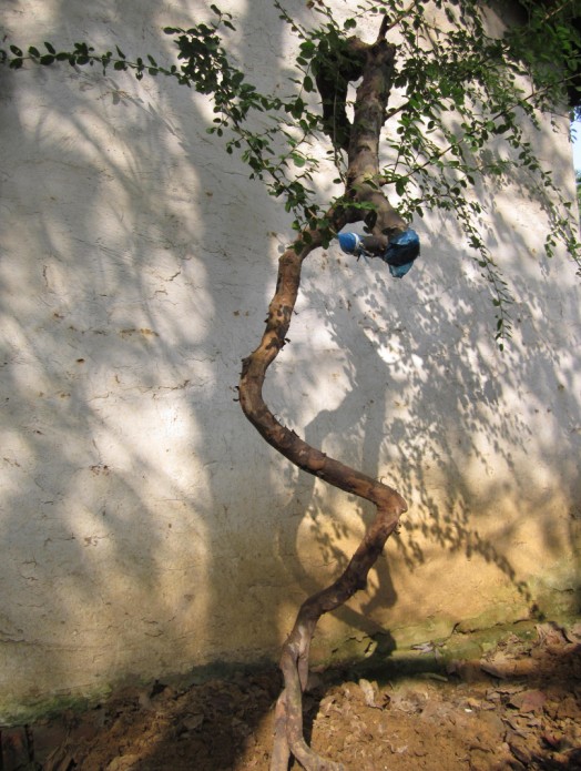 QQͼƬ20141013092421.jpg