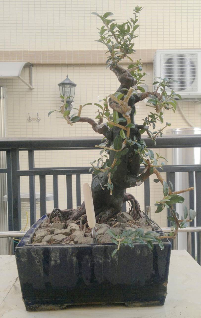 201410122233.jpg
