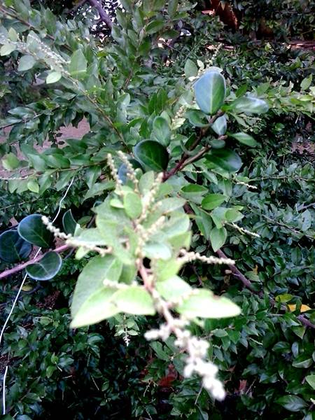 20141013_151840_.jpg