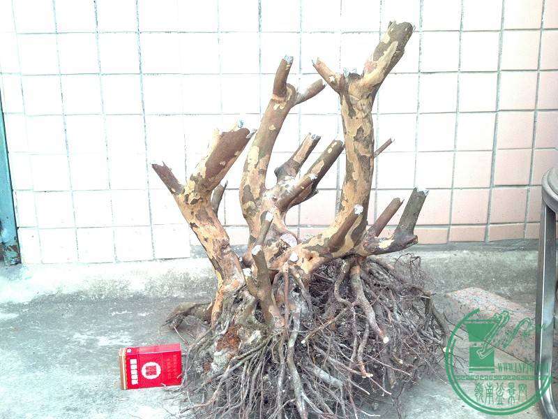 2014-10-18_17-24-02_722_www.moumu.com.jpg
