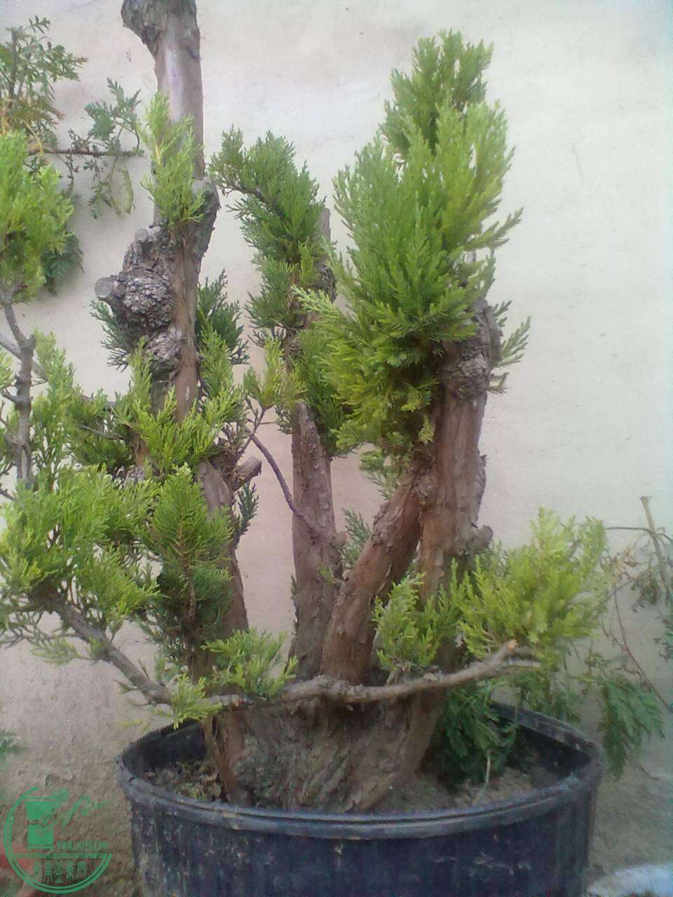 20141021266.jpg