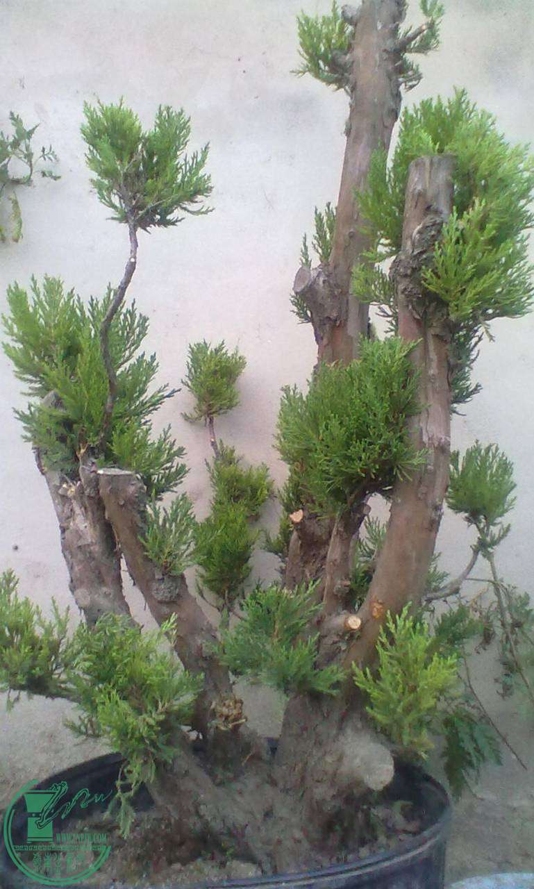 20141021267.jpg
