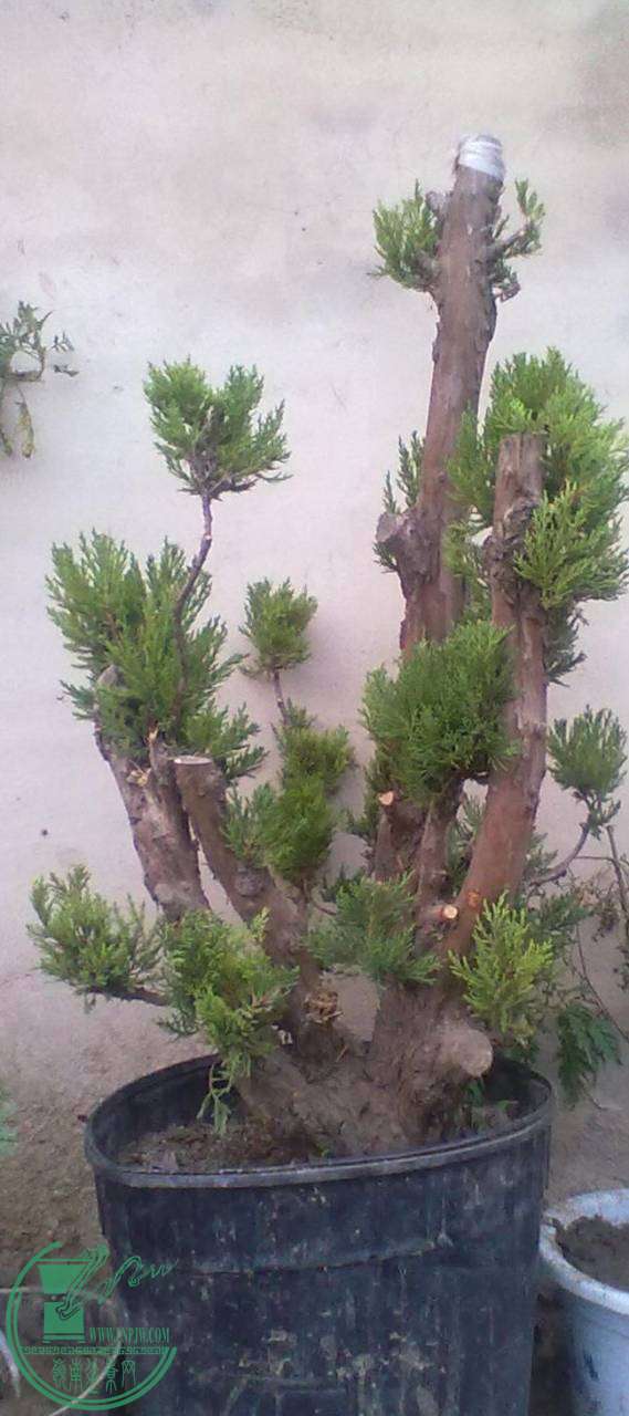 20141021269.jpg