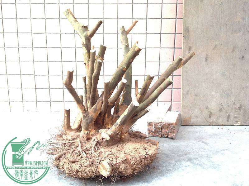2014-10-22_14-15-10_765_www.moumu.com.jpg