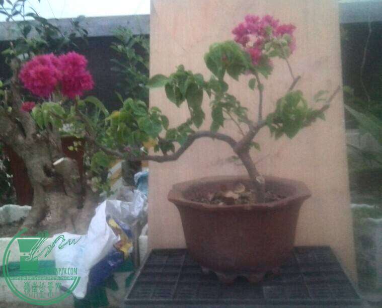 QQͼƬ20141023175618.jpg