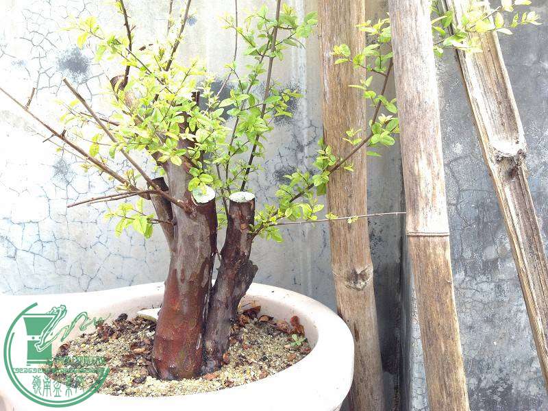2014-10-25_12-08-48_322_www.moumu.com.jpg