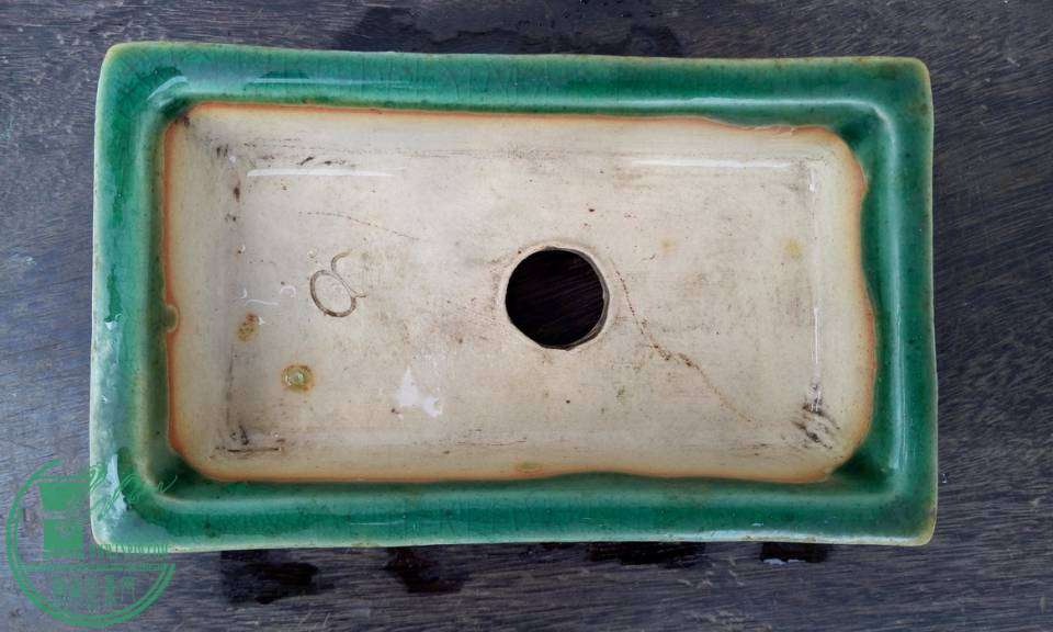 P41025-124909_С.jpg
