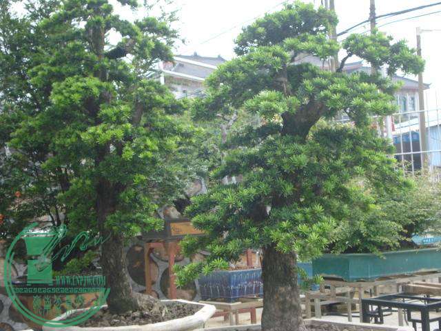 DSC01805.JPG