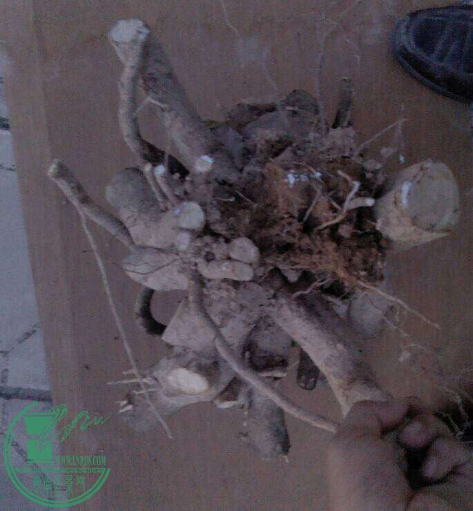 QQͼƬ20141029181108.jpg